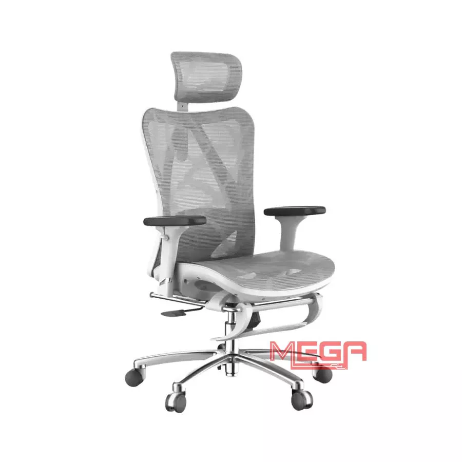 Ghế công thái học Sihoo M57B Xám