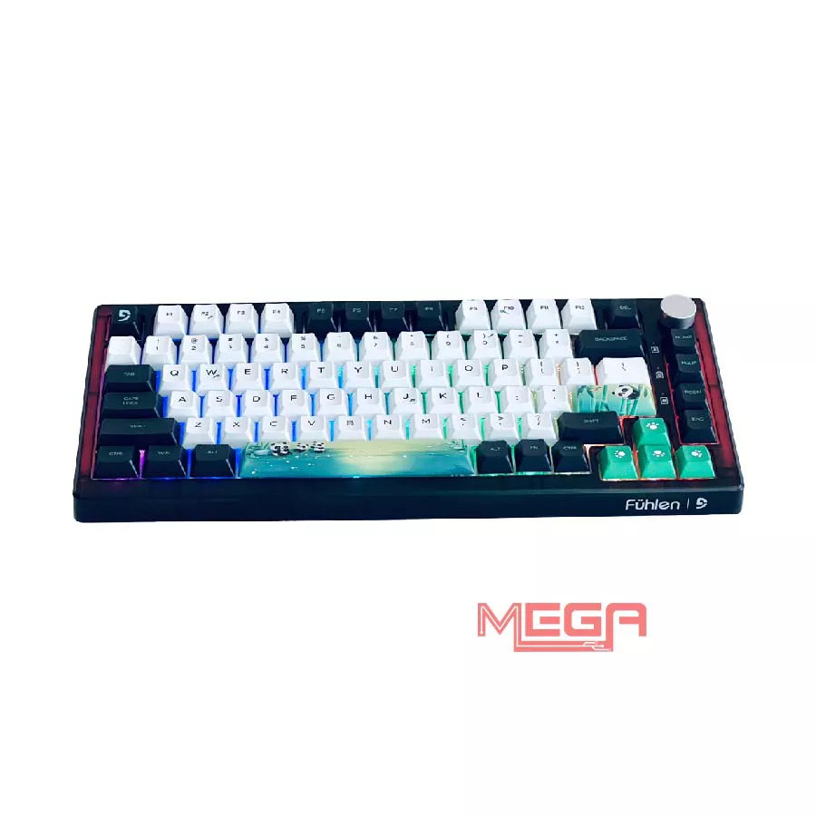 Bàn phím cơ Fuhlen H75S Panda V2