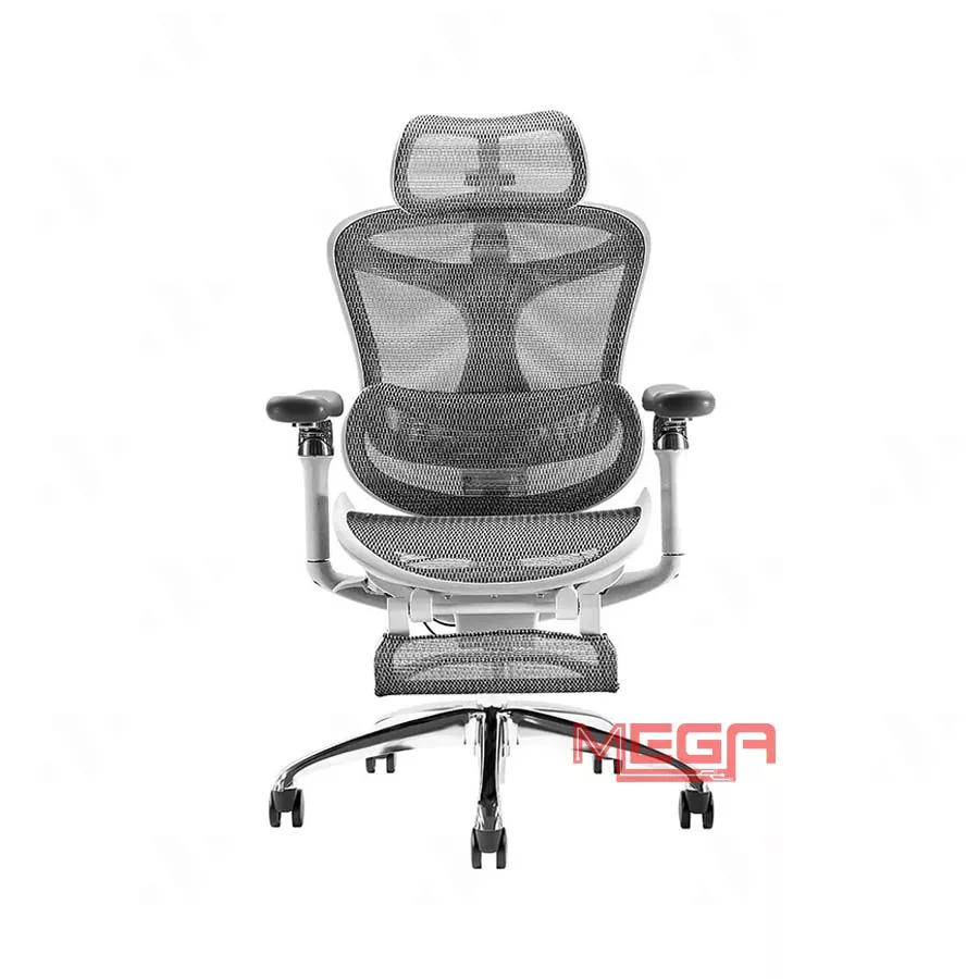 Ghế công thái học Sihoo A3B C300B khung trắng lưới xám