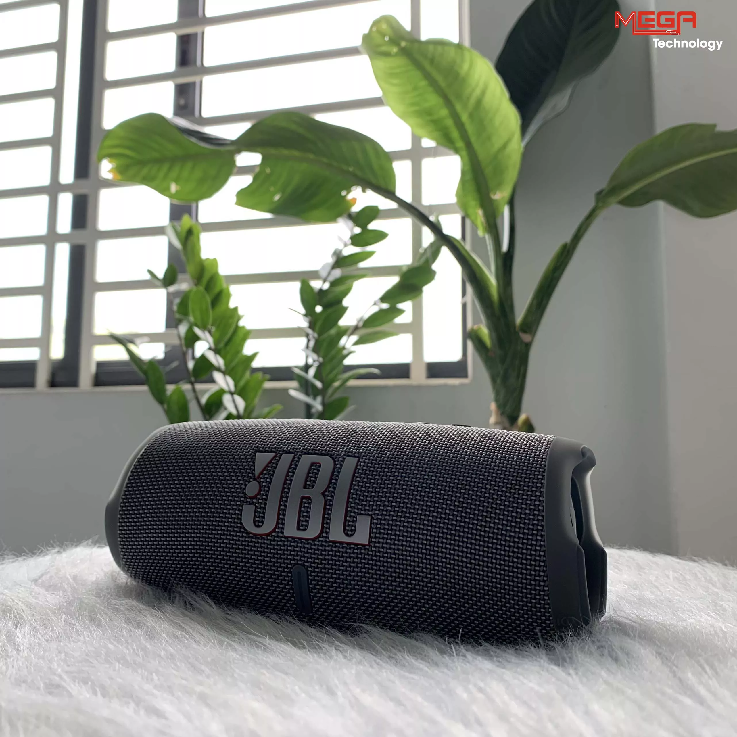 Loa bluetooth JBL FLIP 6 GREY