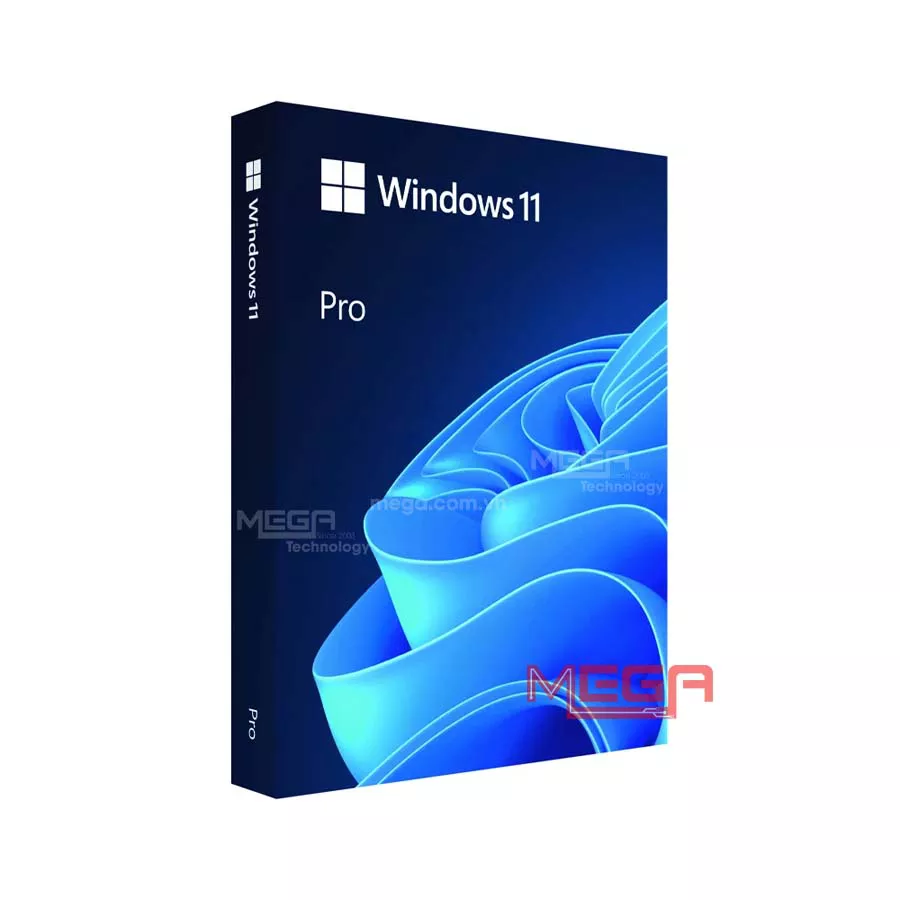 Phần mềm Microsoft Win Pro 11 64bit Eng USB FPP