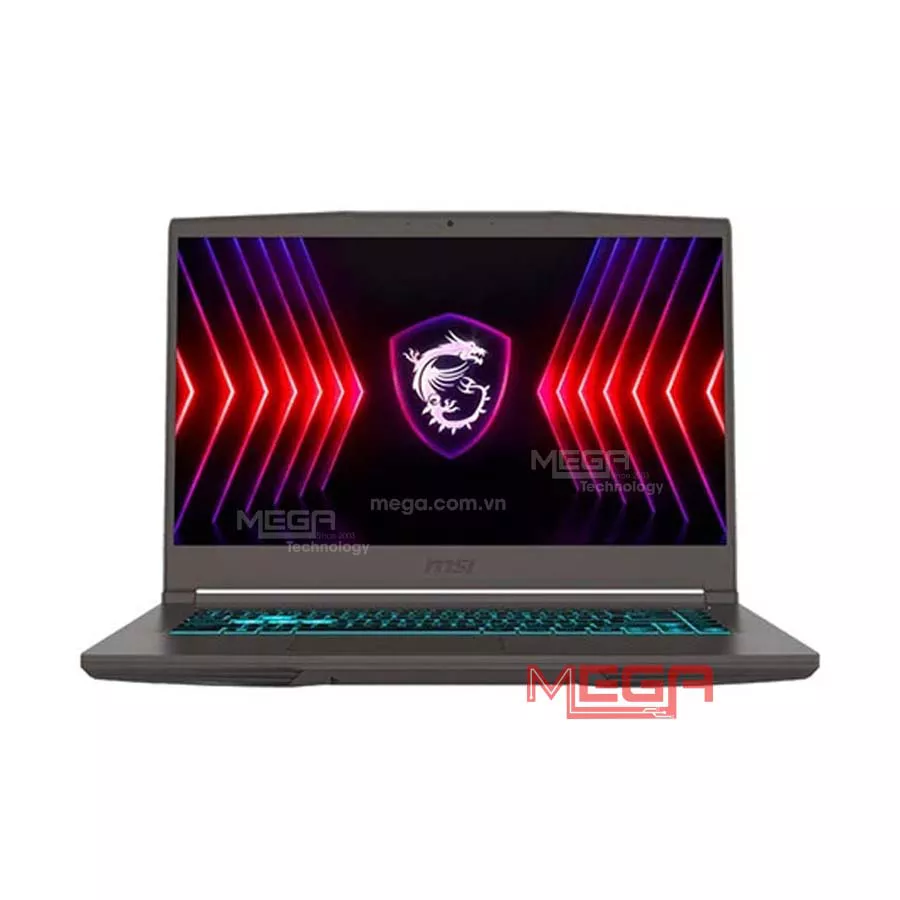 Laptop MSI Thin 15 B13VE-2824VN