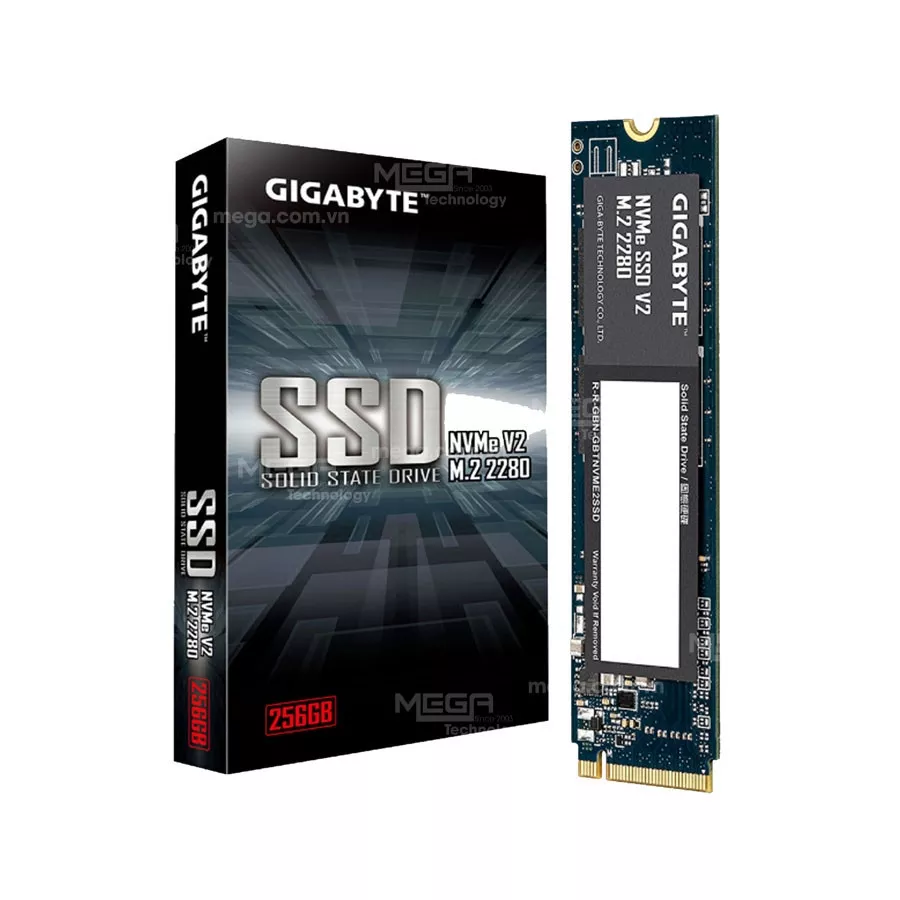 Ổ cứng SSD Gigabyte G3NVMEV2256G V2 256GB