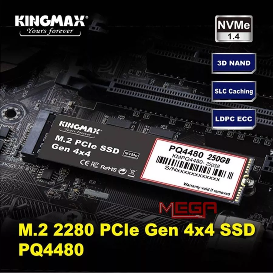 Ổ cứng SSD Kingmax PQ4480 250GB