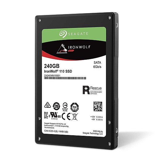 Ổ cứng SSD Seagate 240GB Ironwolf 110 ZA240NM10011